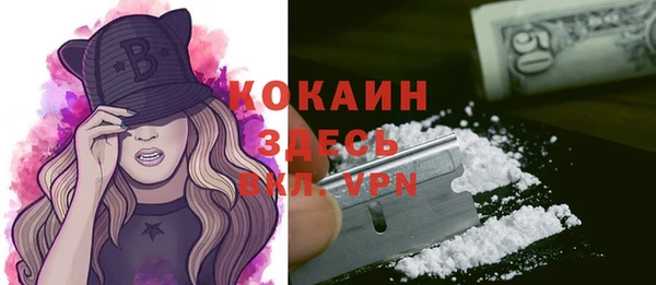 твердый Лагань