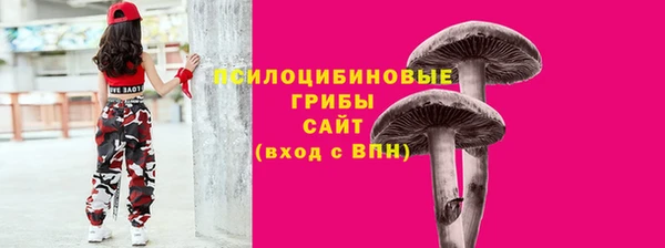 твердый Липки