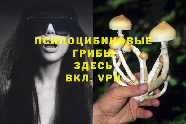 каннабис Ладушкин